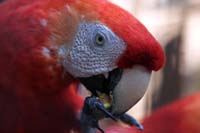 IMG_1653