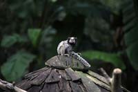 IMG_1685