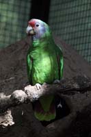 IMG_1710