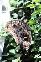 IMG_1720