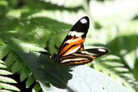 IMG_1723