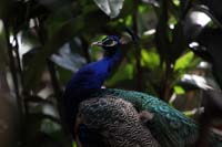 IMG_1765