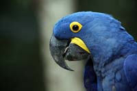 IMG_1775
