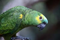 IMG_1781
