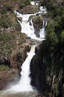 IMG_1829