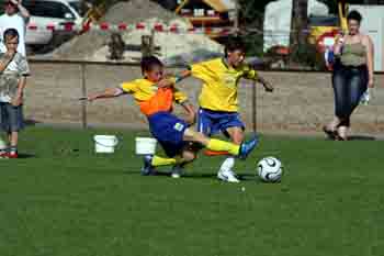 OX0L8274