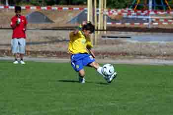 OX0L8275